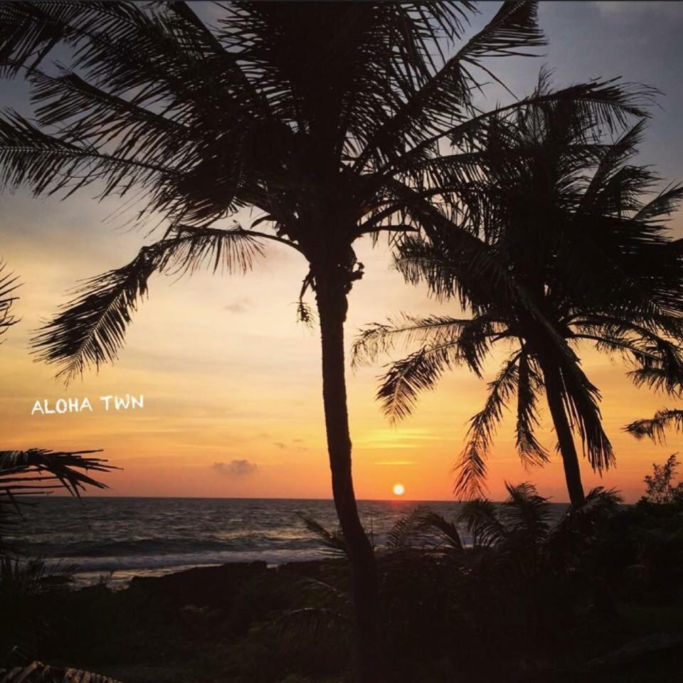Photo 50