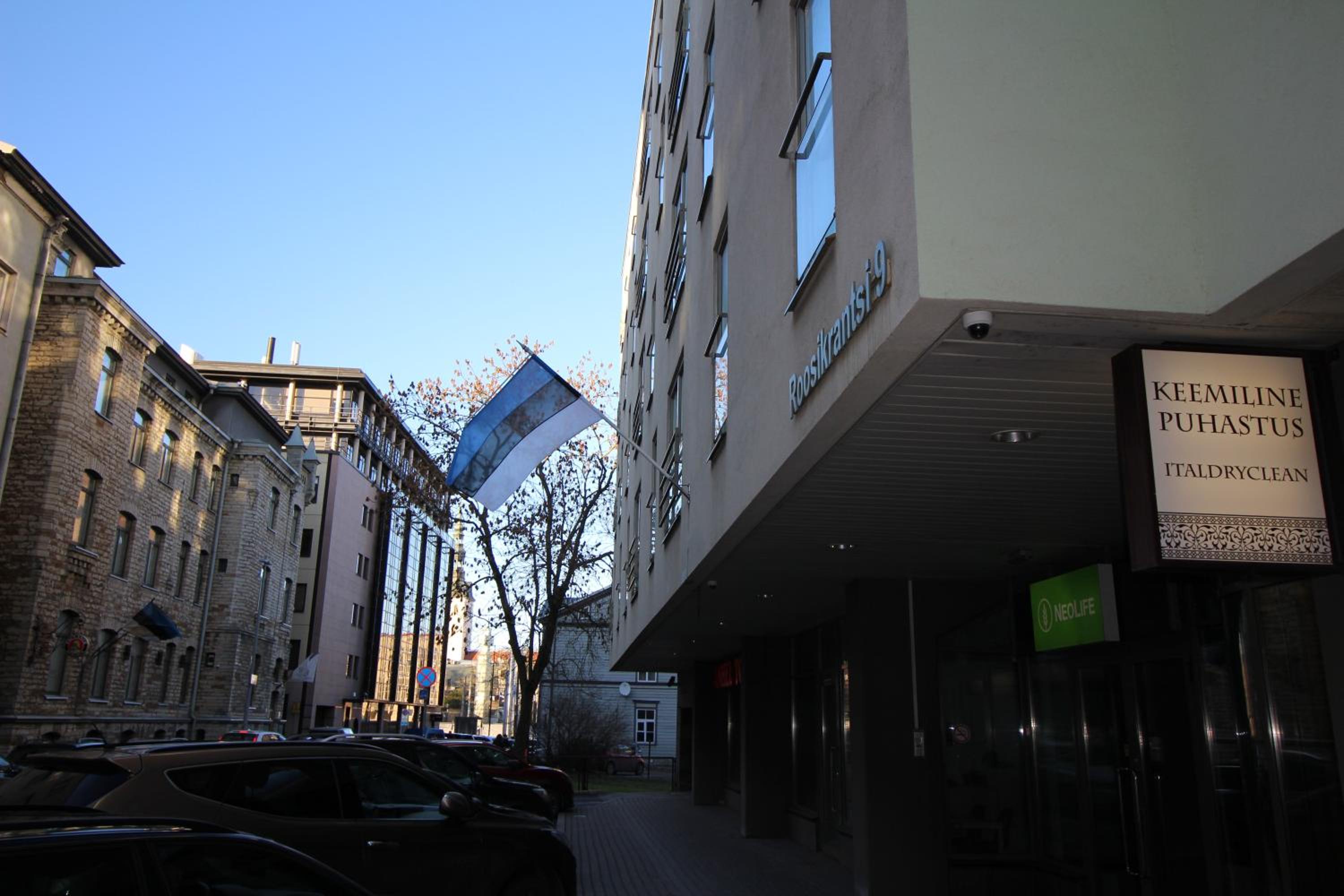 Photo 7