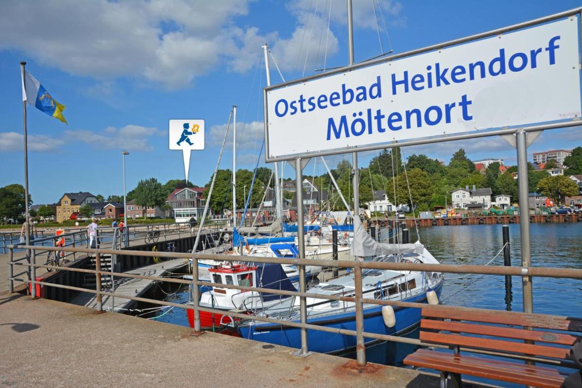 Strandhafer