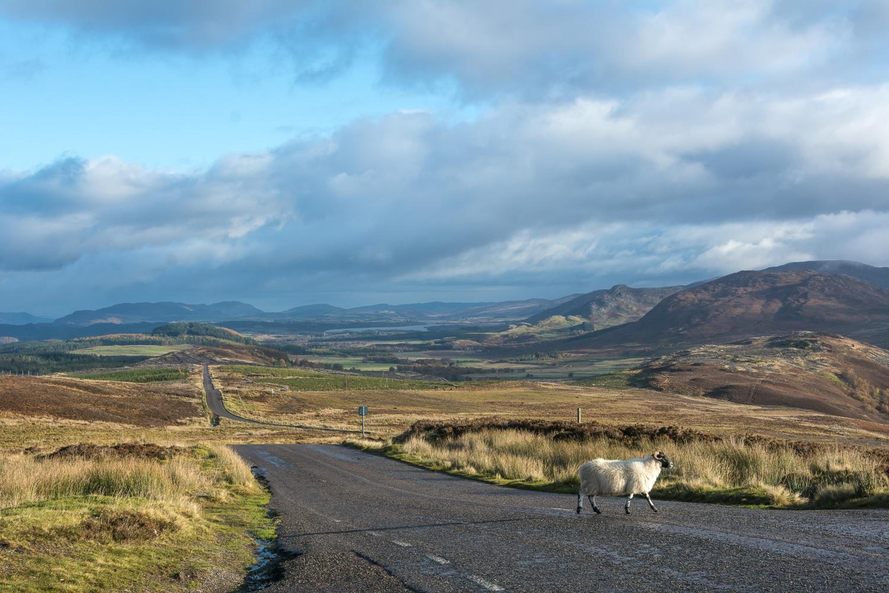 Lann Dearg Studios