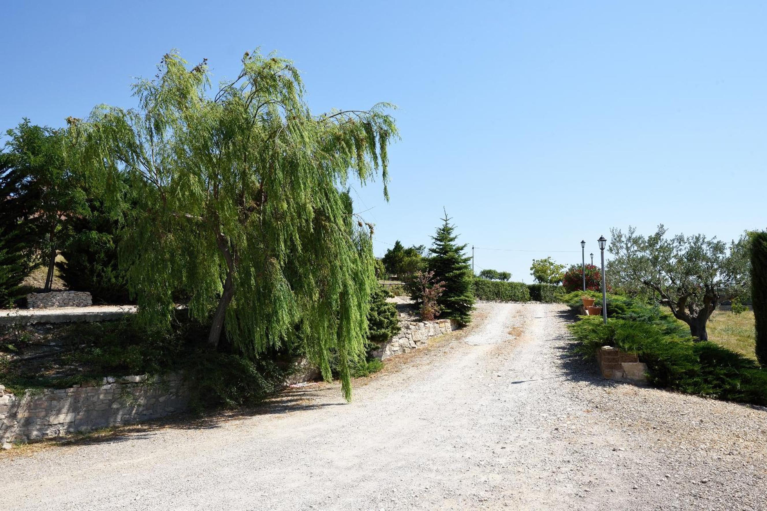 Photo 9