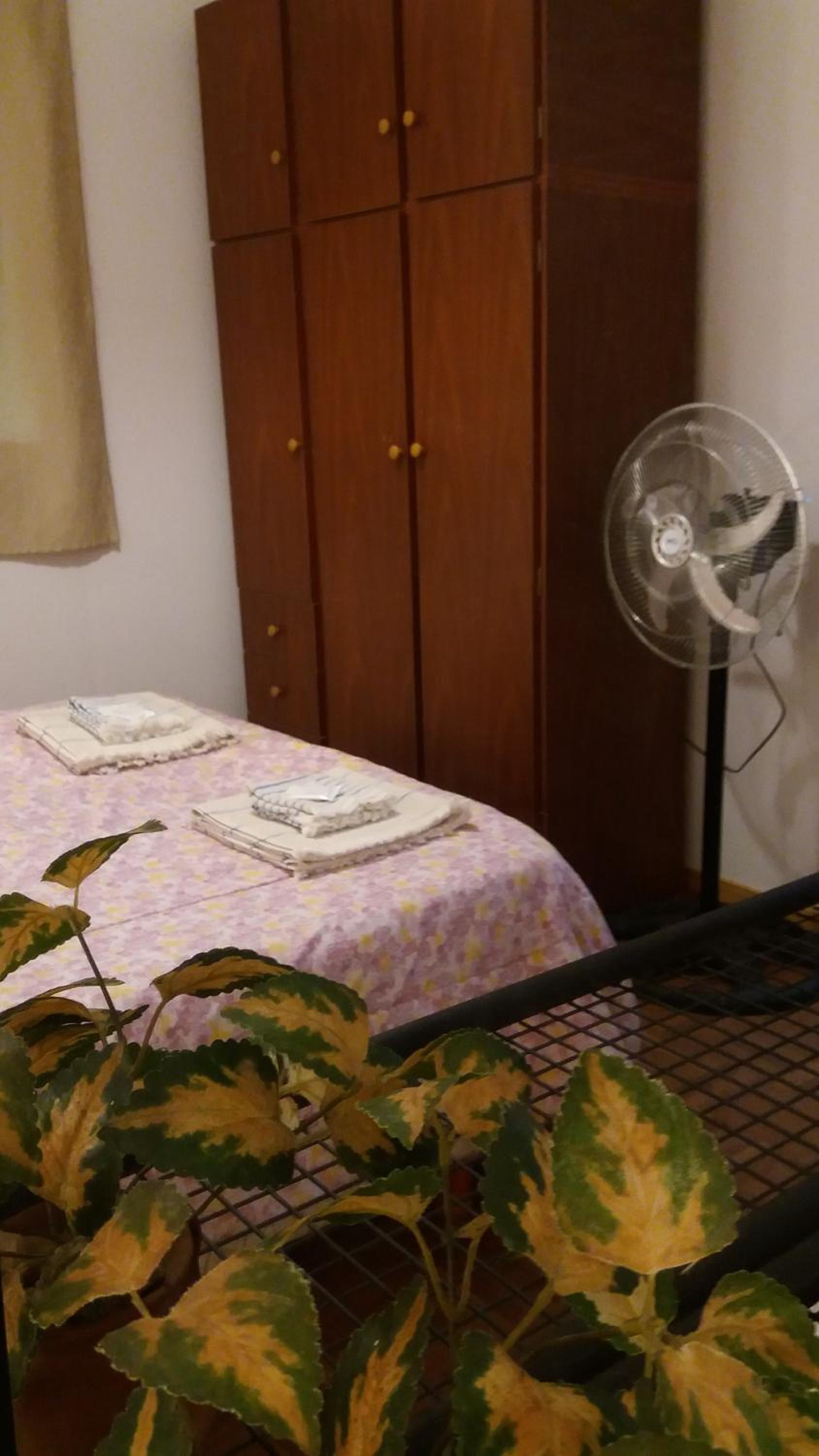 Casita de Montaña
