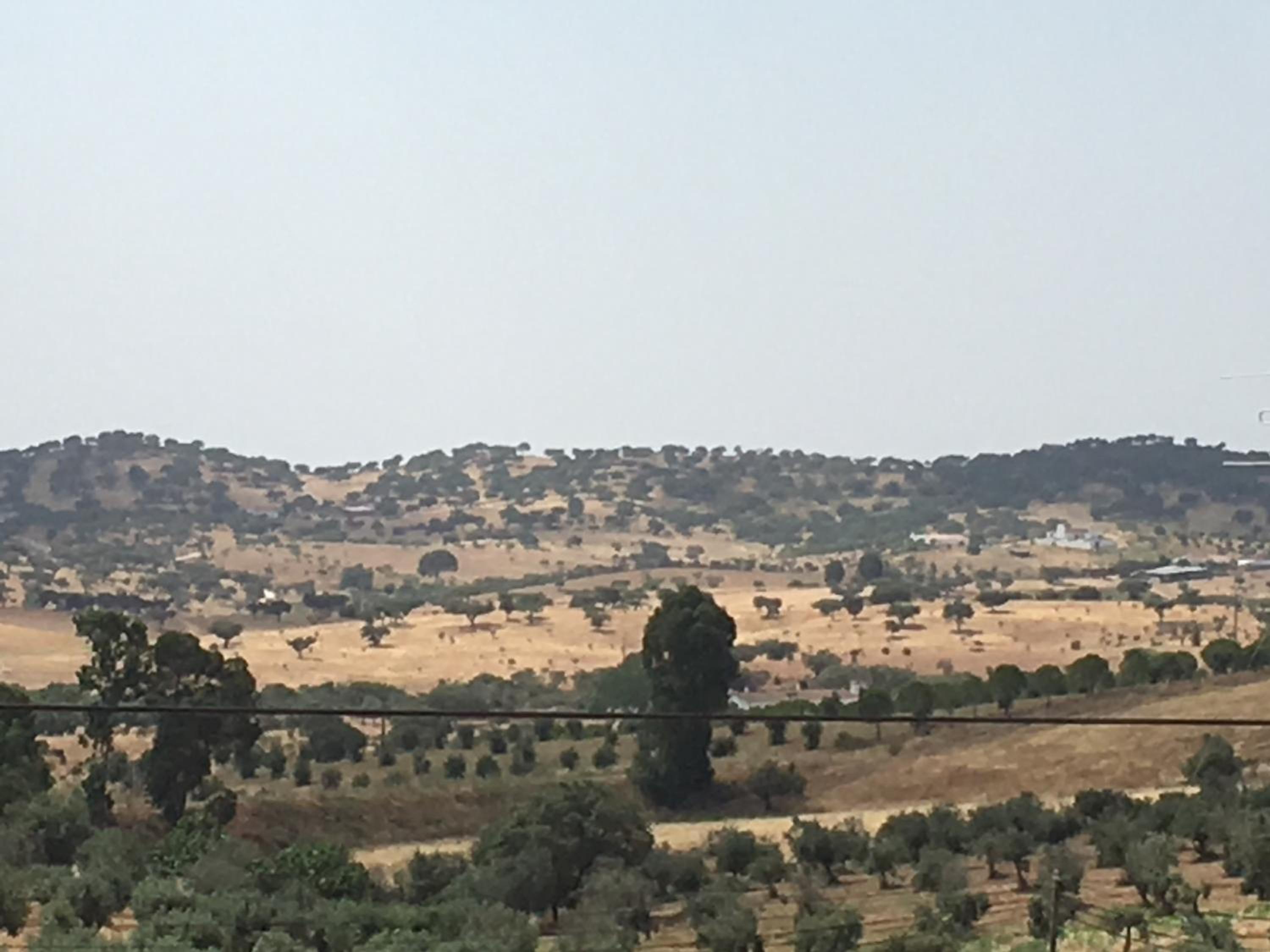 Caminho de Santiago, Alandroal view 4
