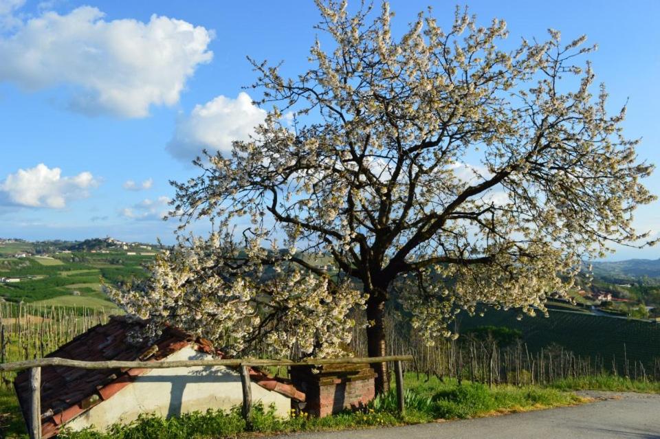 Agriturismo Cascina Rabalot view 5