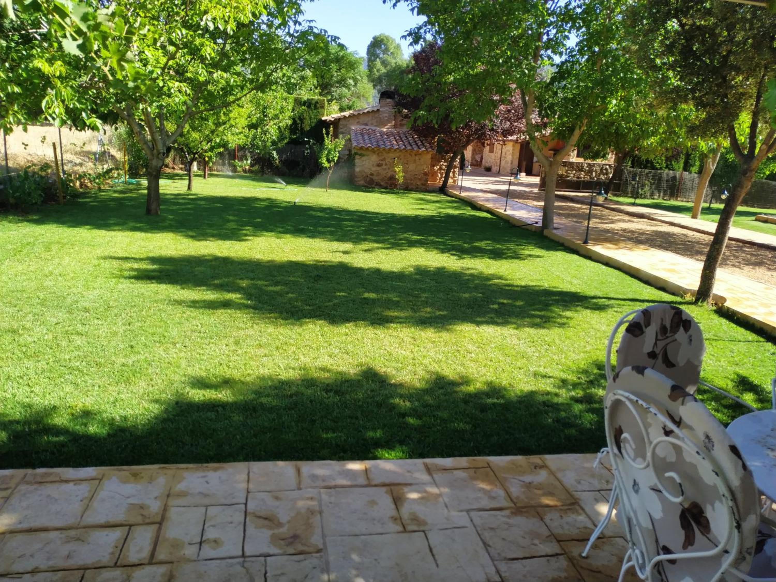 Photo 12