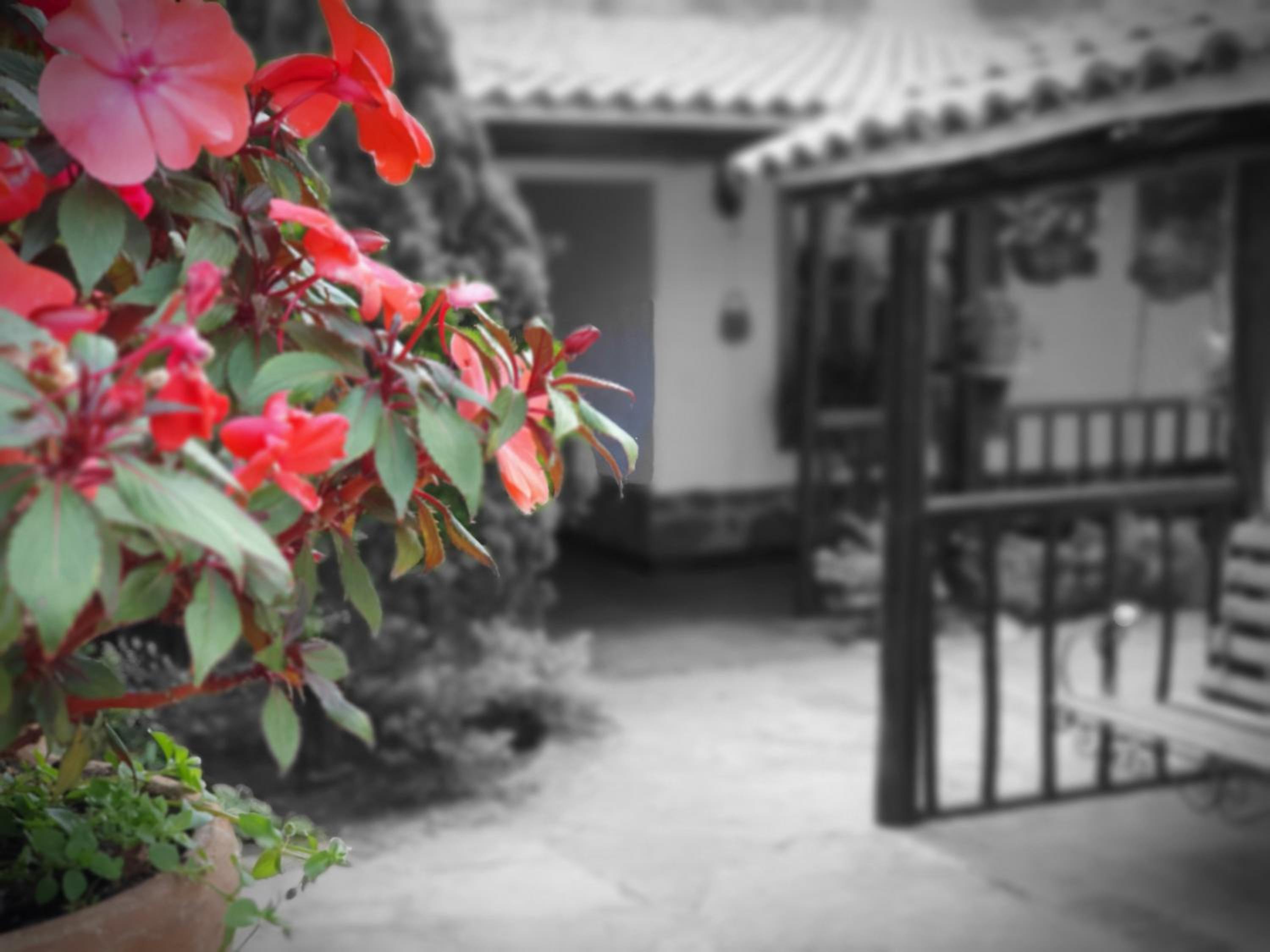 Photo 20