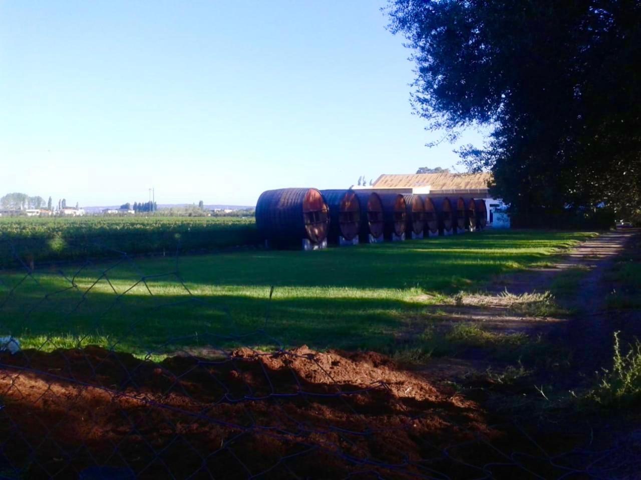 Departamento en Luján de Cuyo, Perfecta ubicación para visitar viñedos!