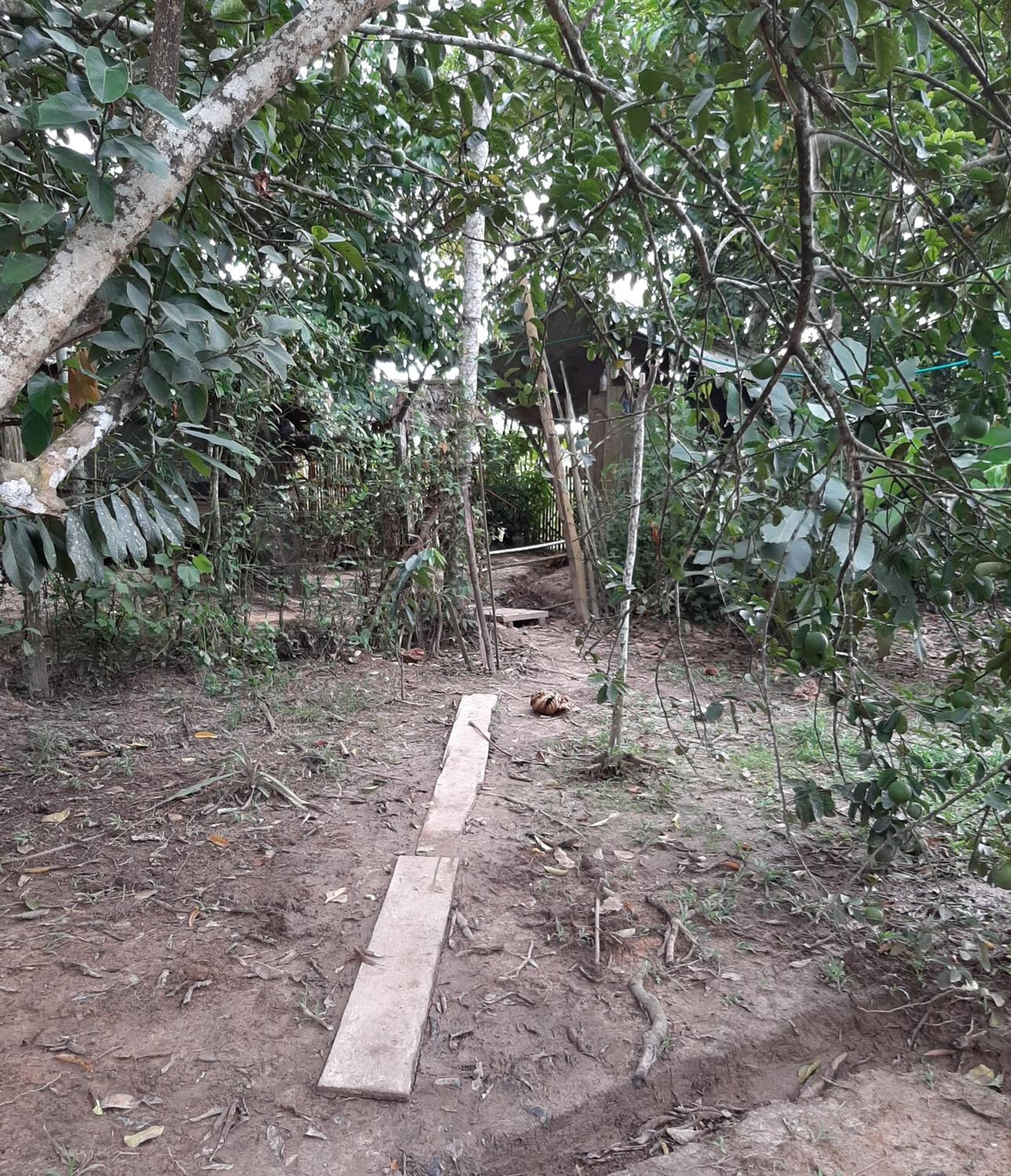 Xingú Camping Site view 3