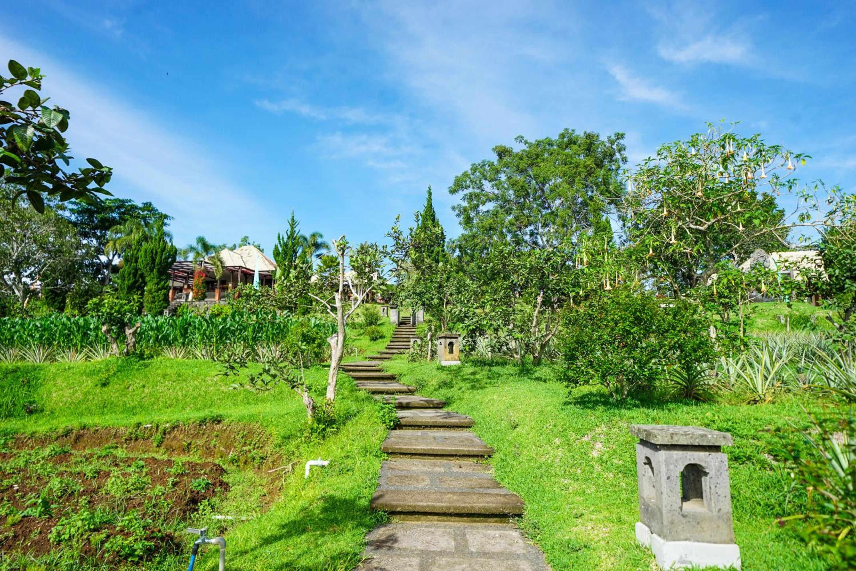 Bagus Agro Pelaga