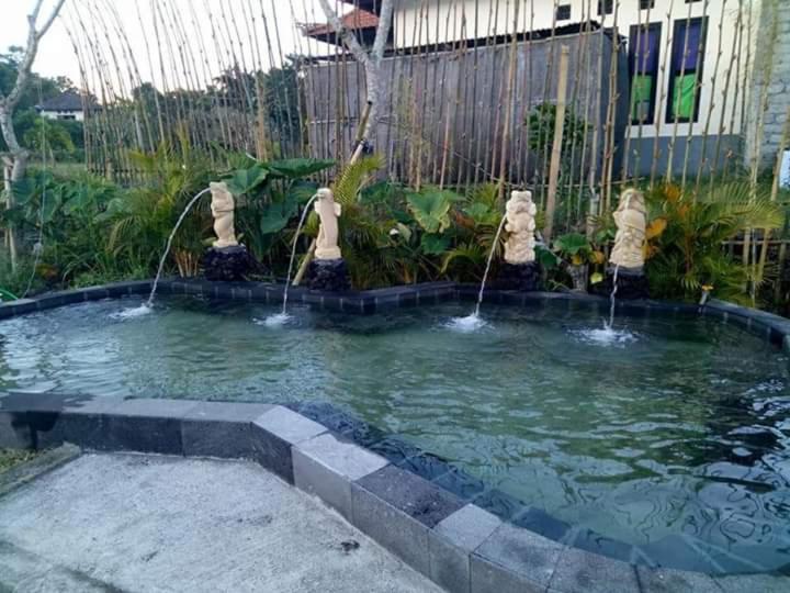 Segara Healing Villa with Hot Spring view 3