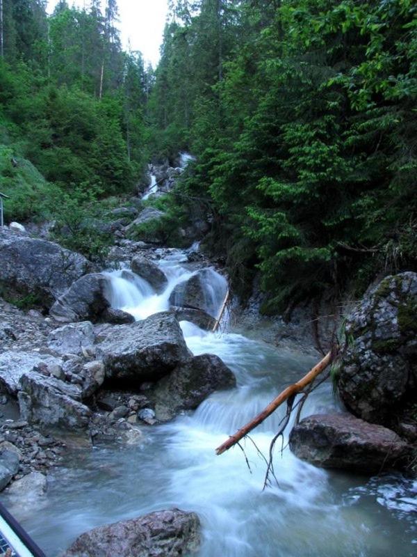 Photo 27
