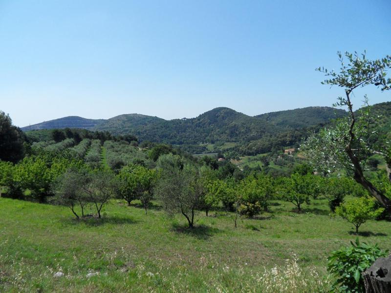 Photo 40