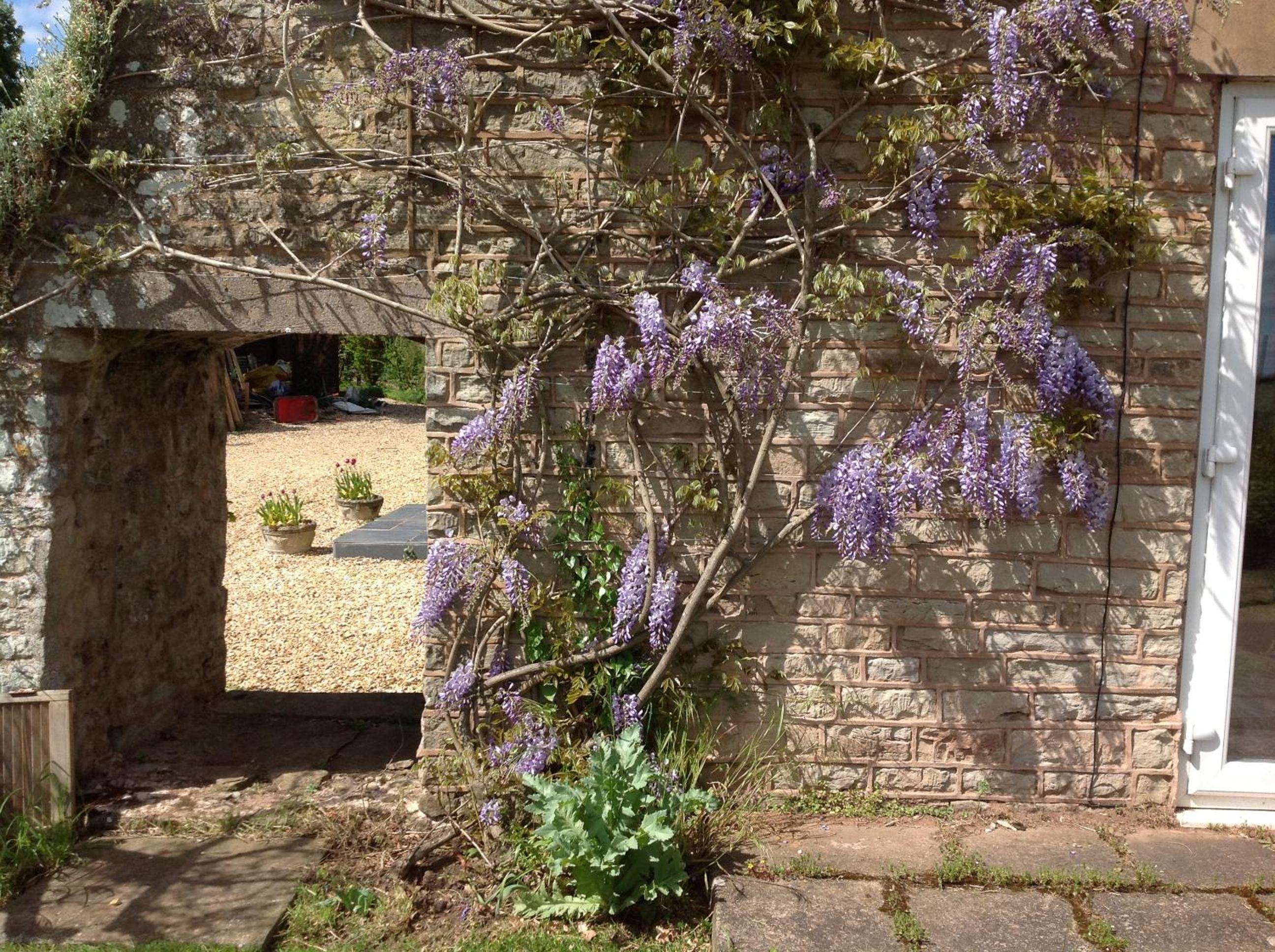The Coach House
