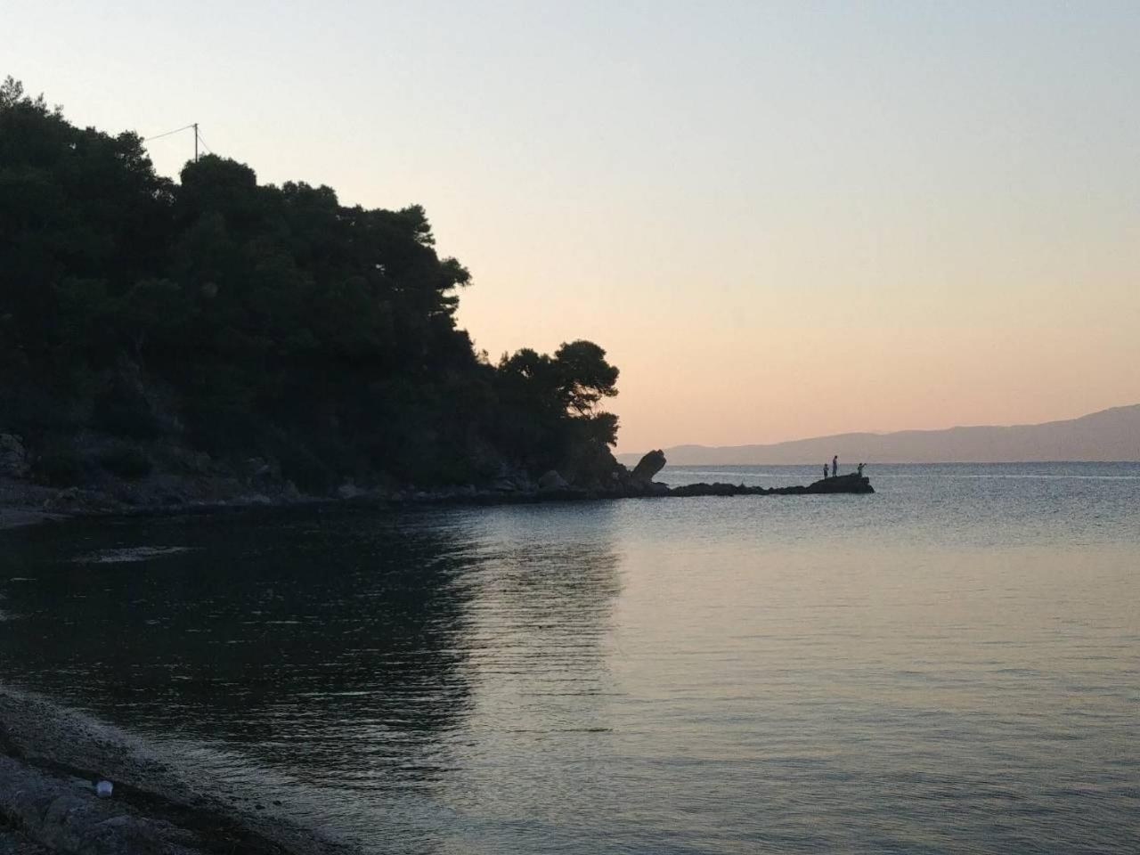 Dominici