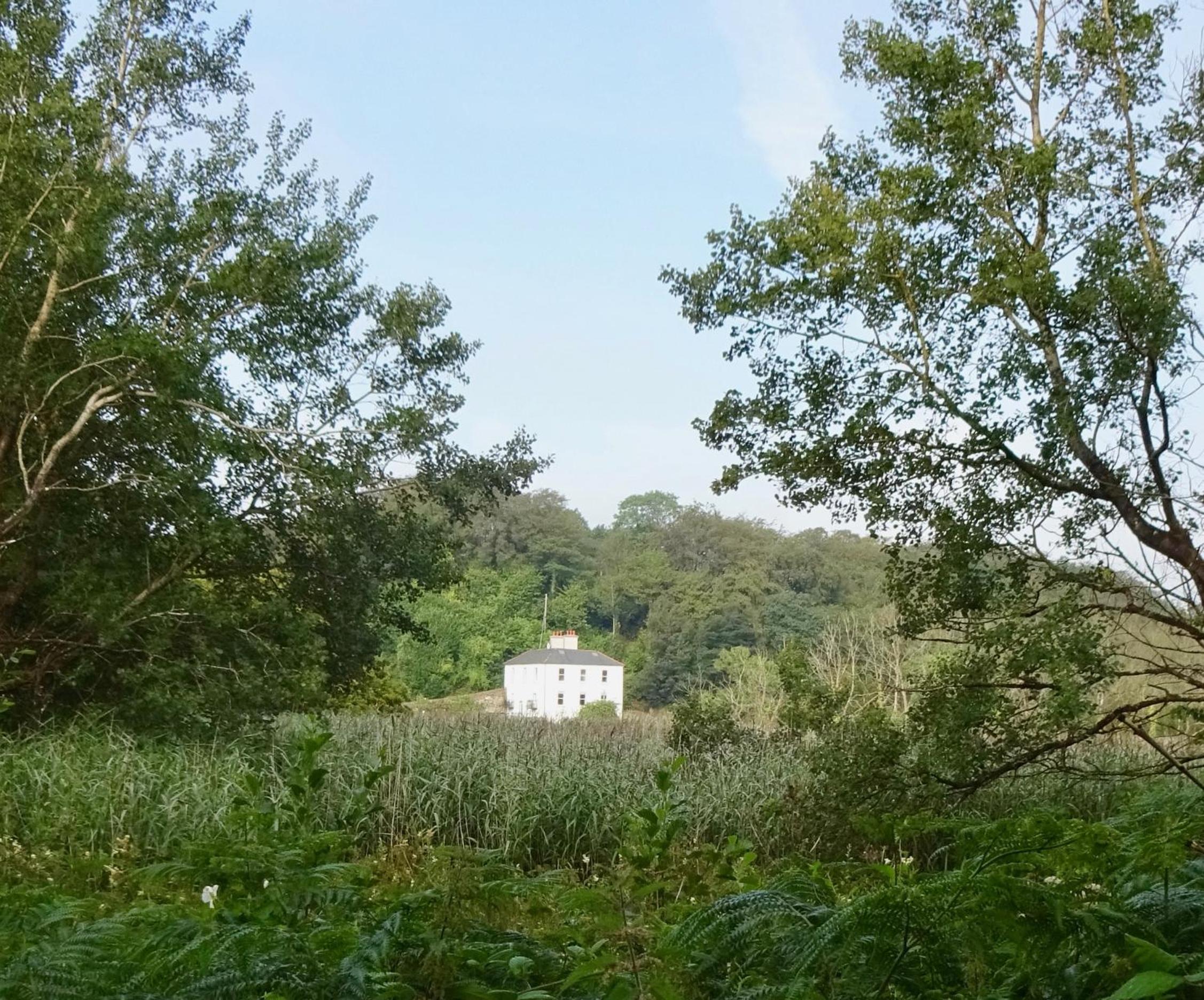 Riverbank House Bed and Breakfast Innishannon view 3