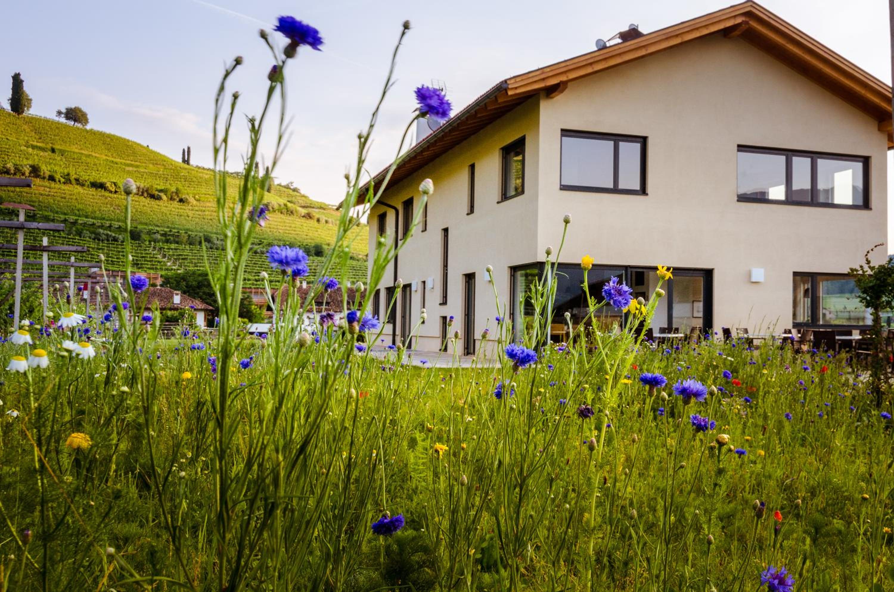 Rösslhof view 2