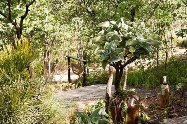 Musangano Lodge