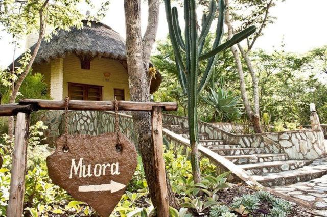 Musangano Lodge