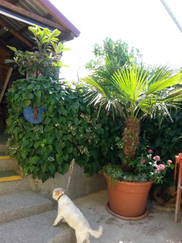 Photo 19
