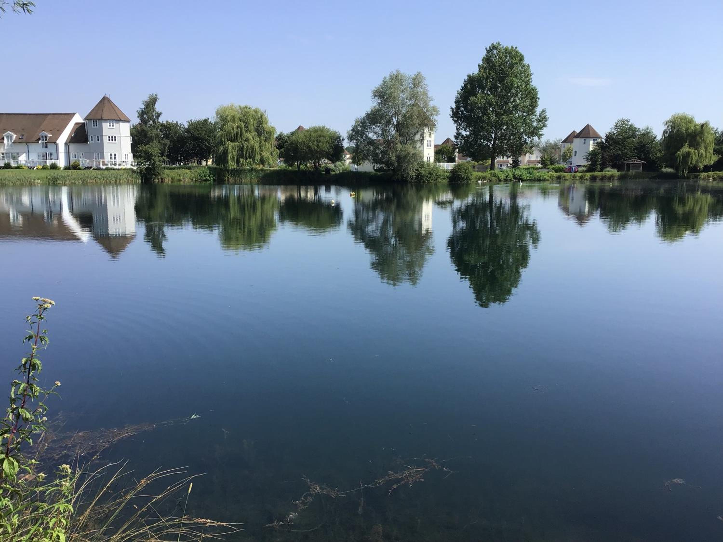 Photo 41