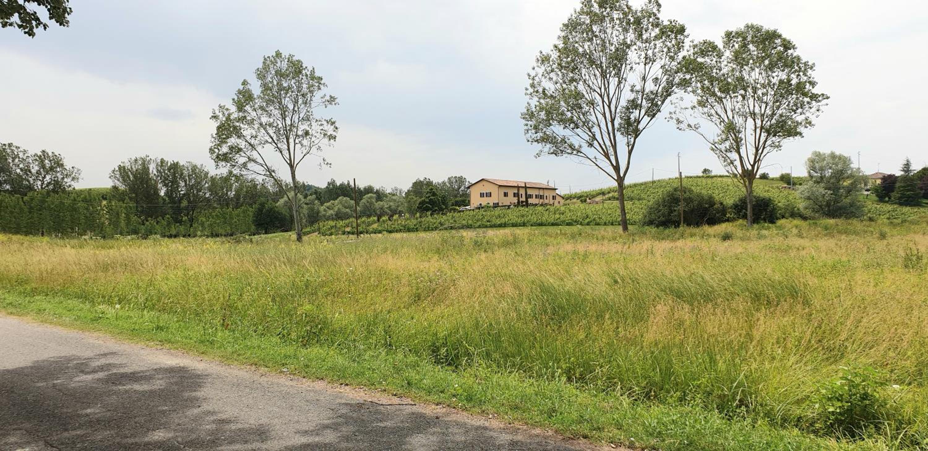 Villa Vigneto photo 5