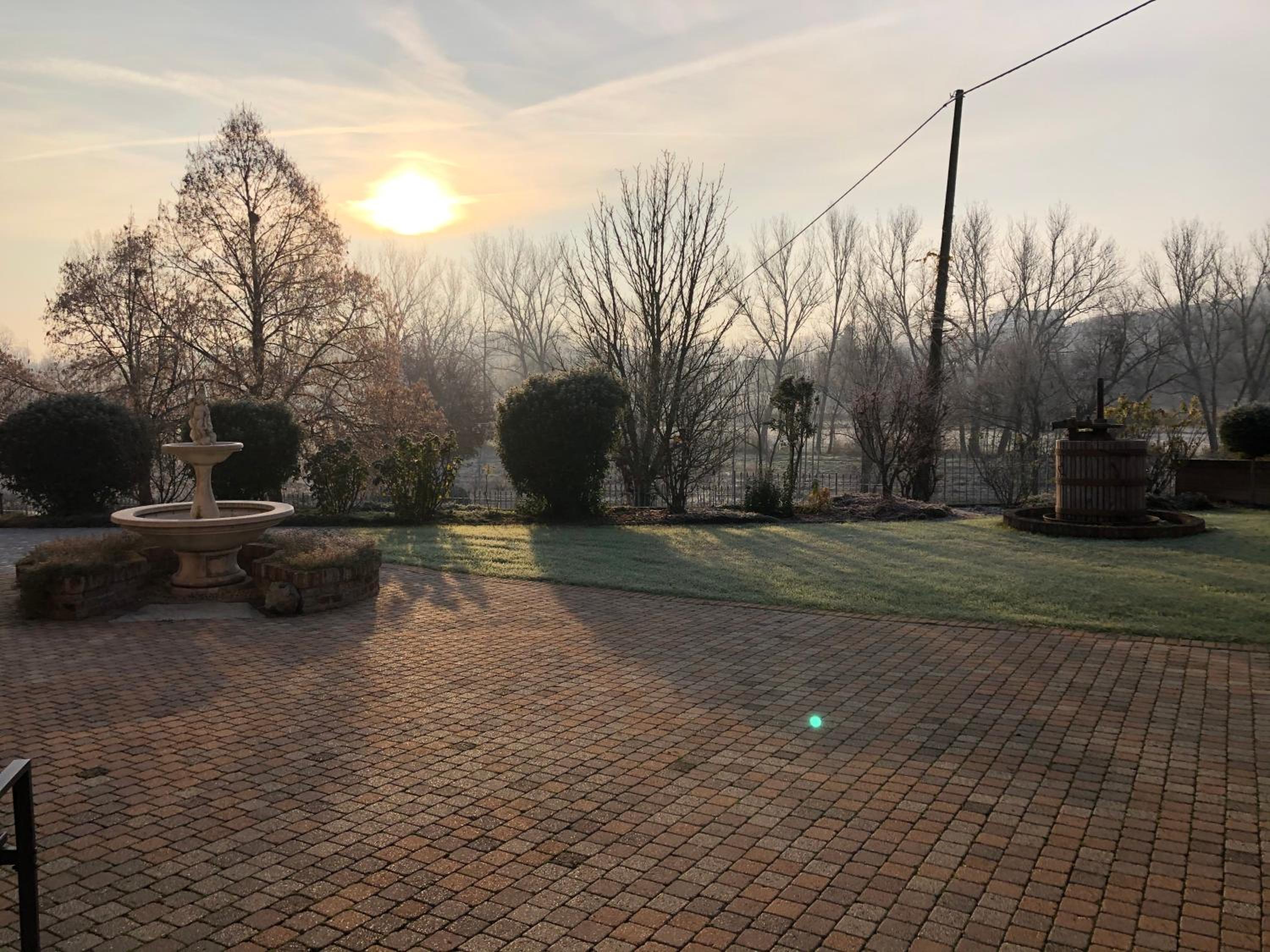 Villa Vigneto photo 2