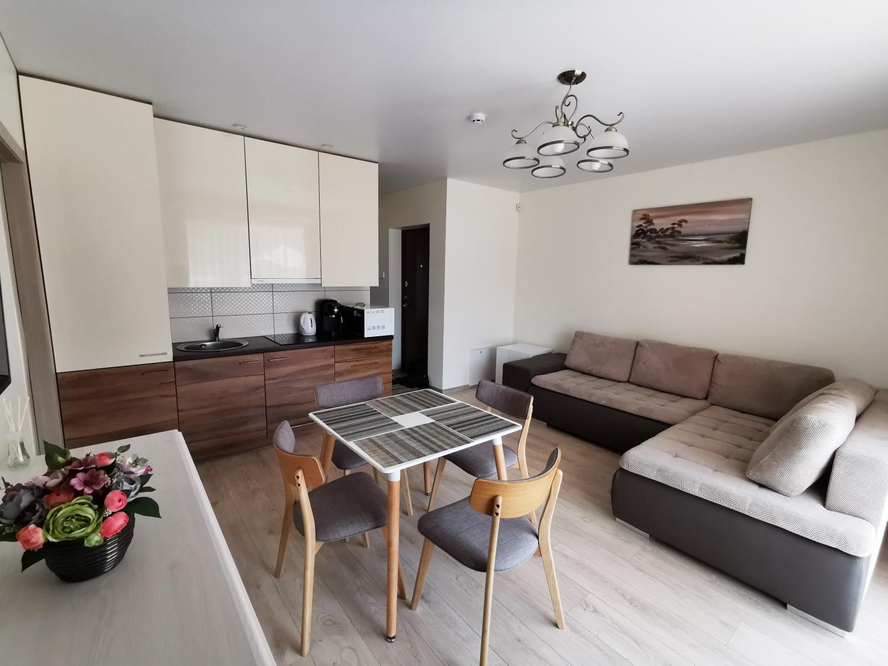 Scandinavian Apartment in Palanga