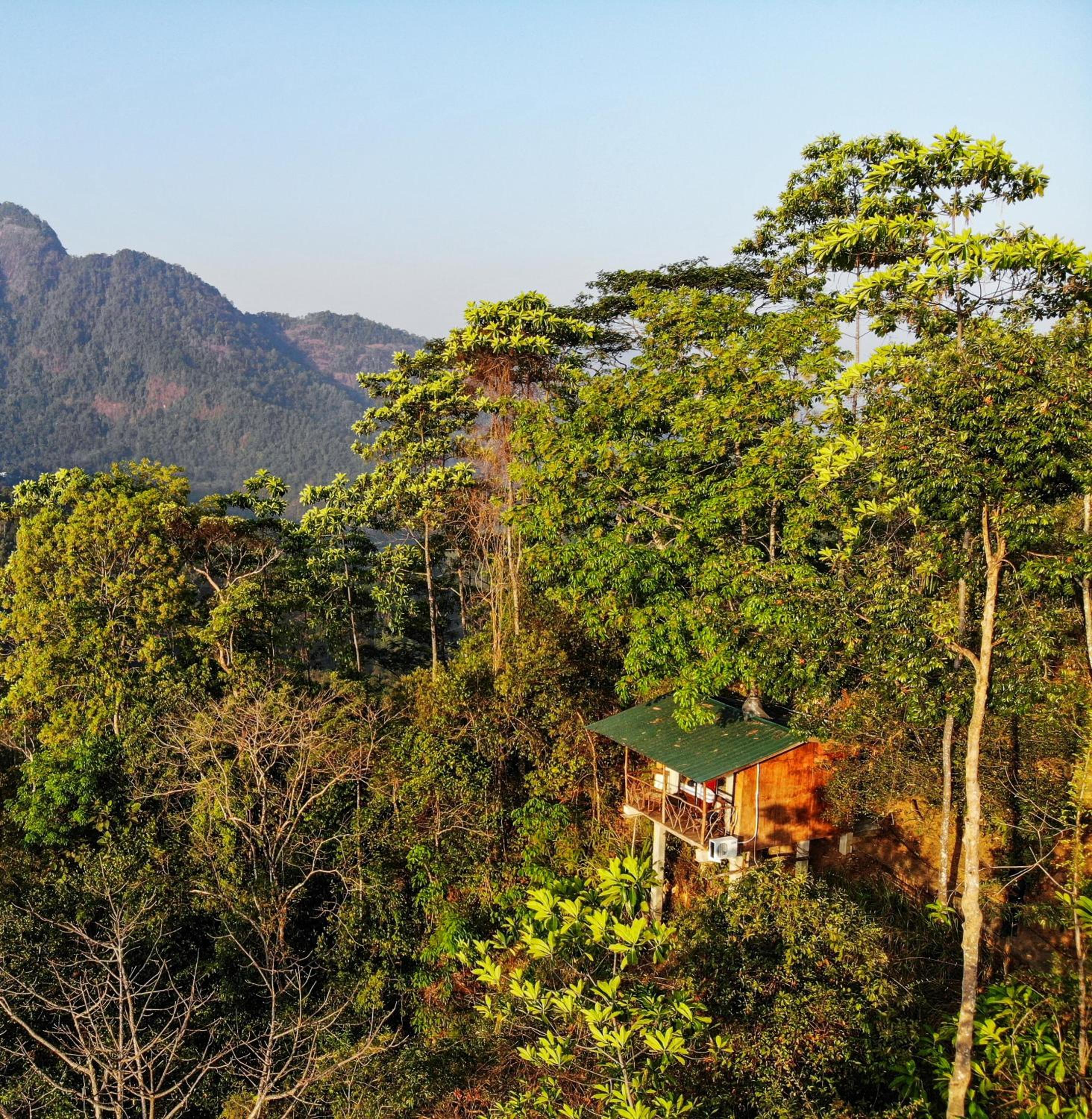Hotel Tree Houses by Jungle River - Image 1