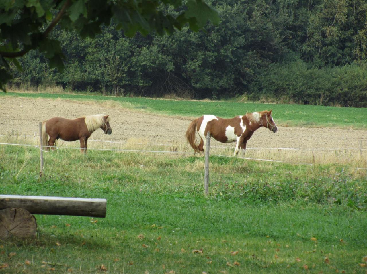 Bio Ferienhof Erzengel view 3