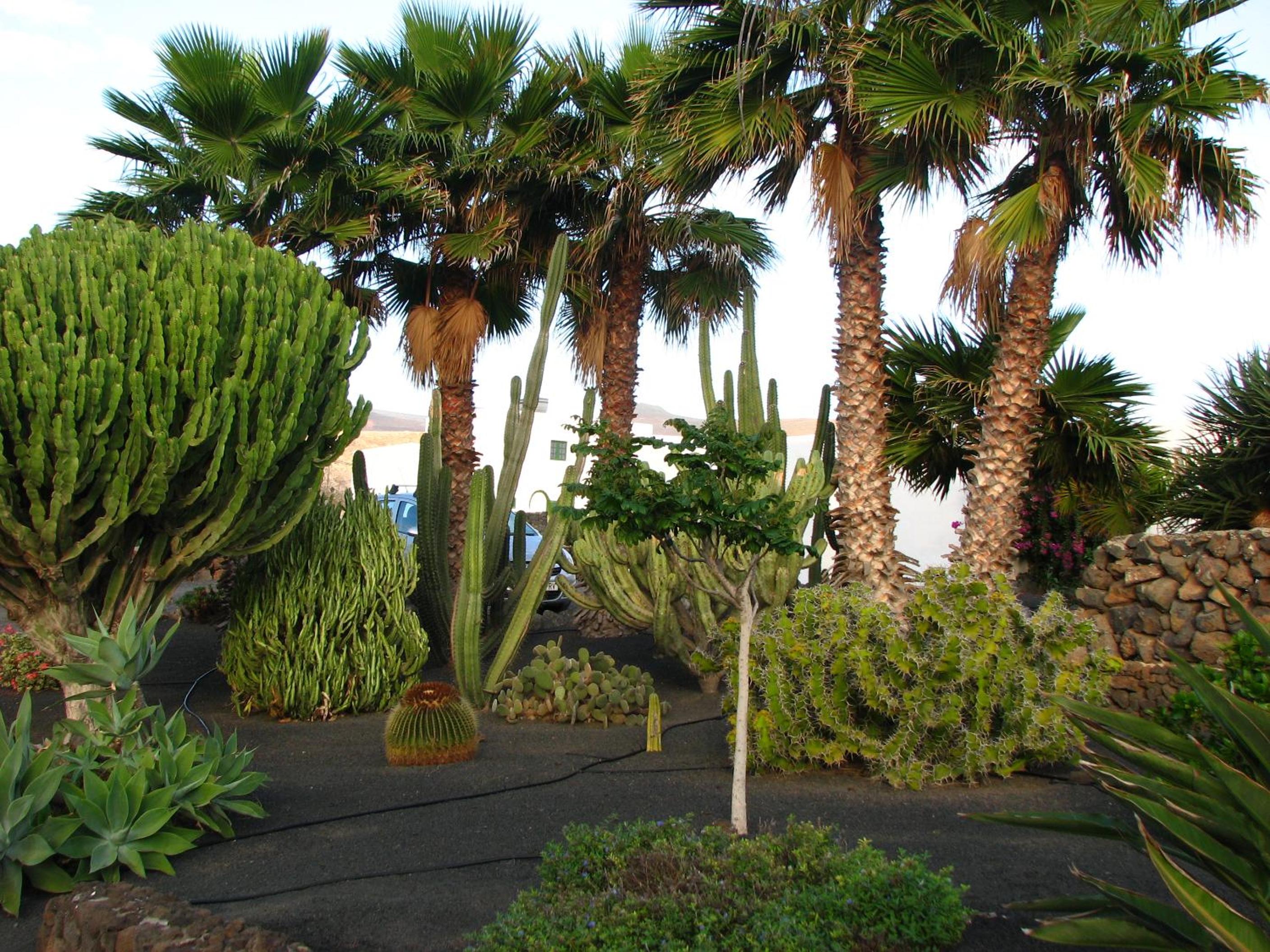 Casa Para Ti - Botanica view 4