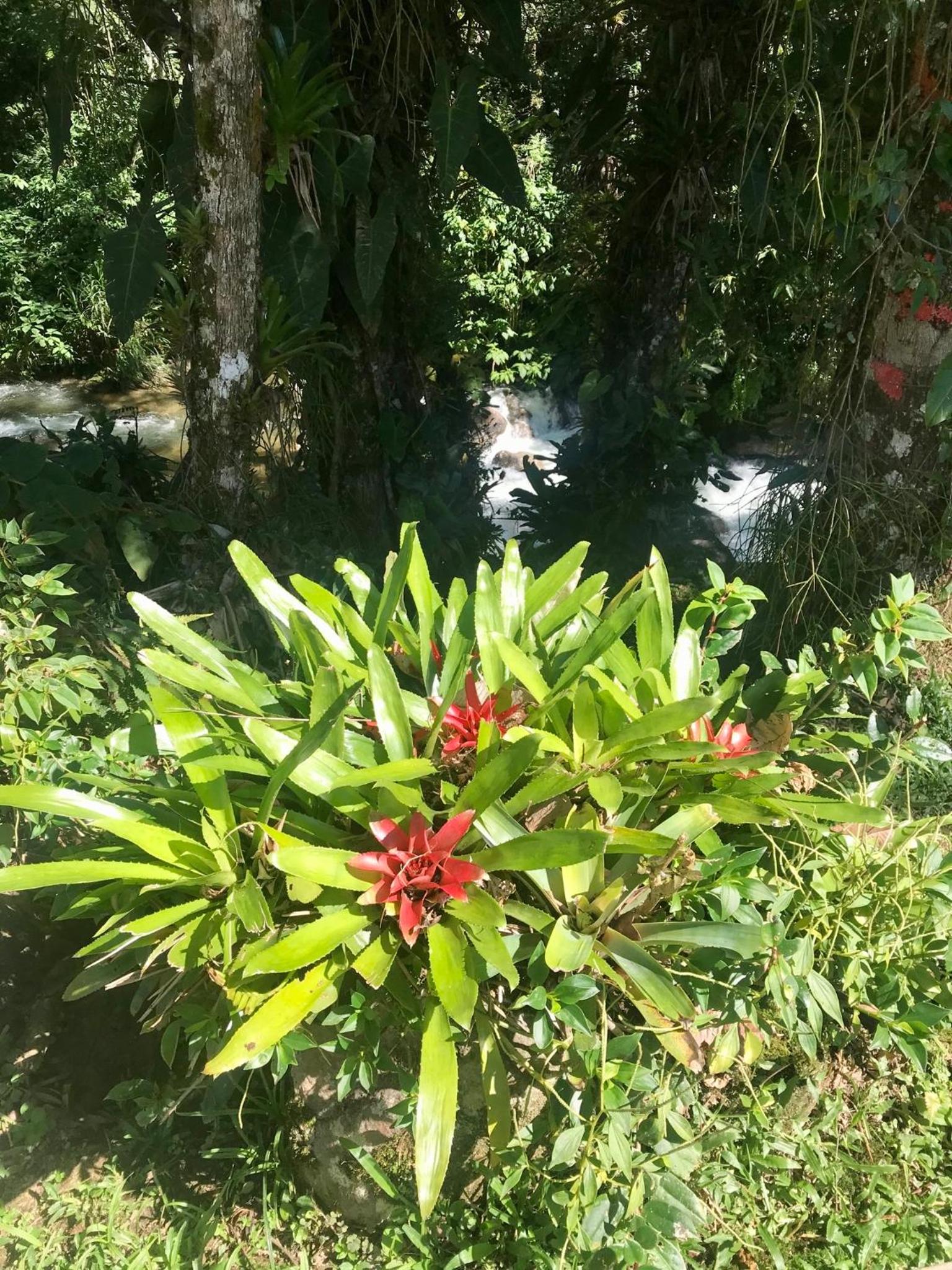 Pousada Brilho da Natureza