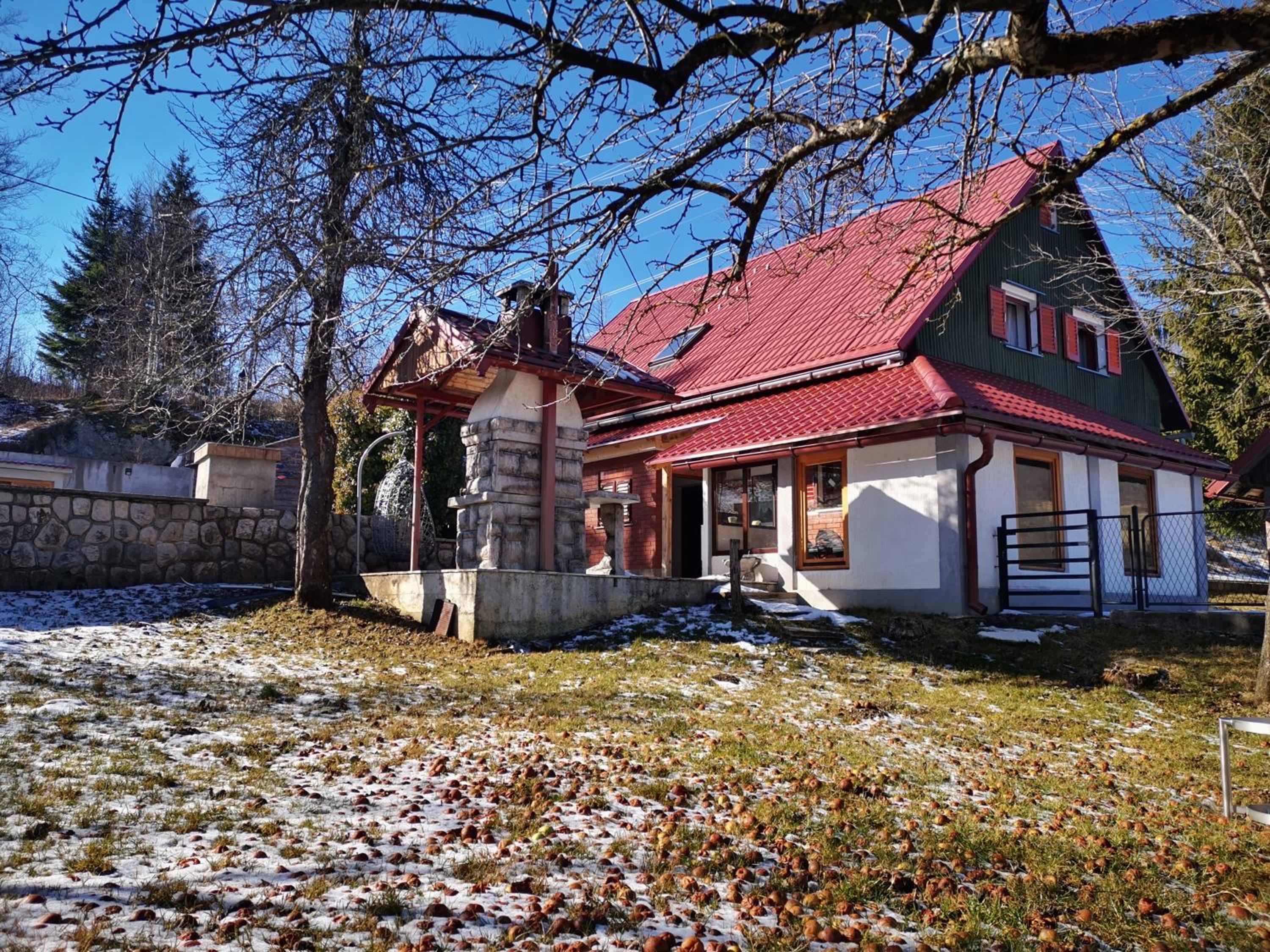 Photo 45