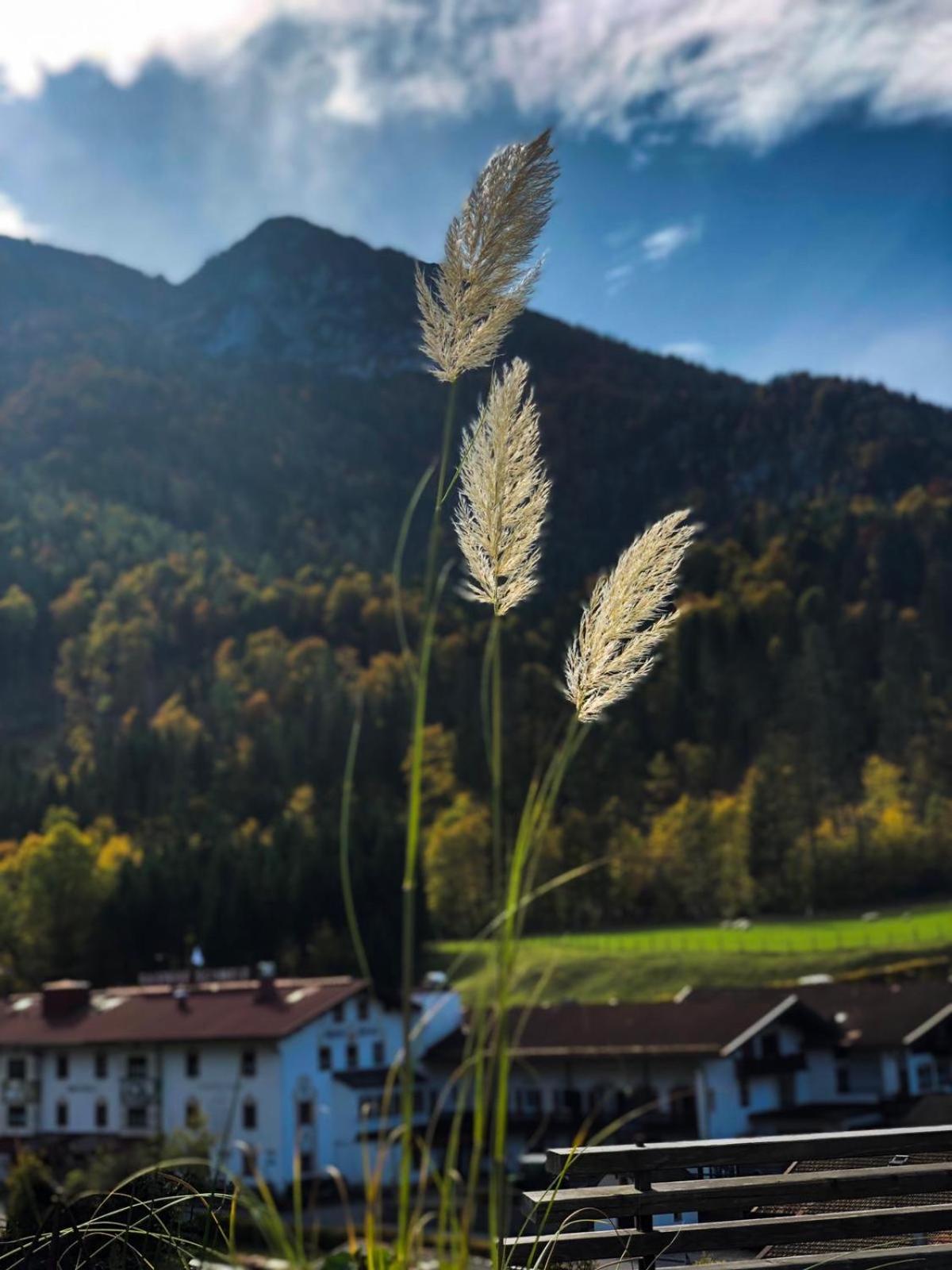Kienberghof