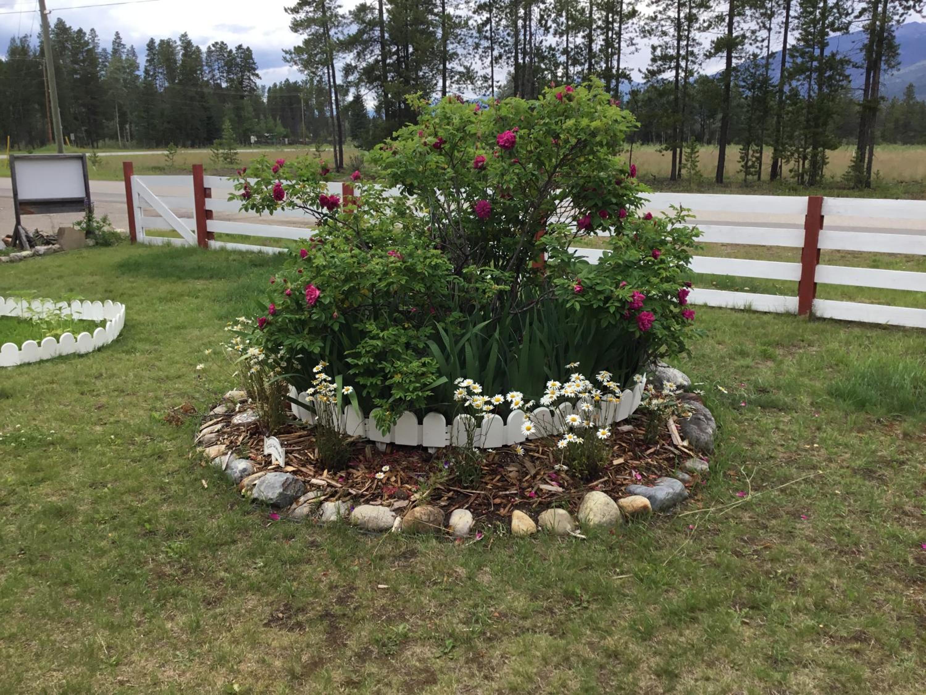 Rose Cottage Bed & Breakfast