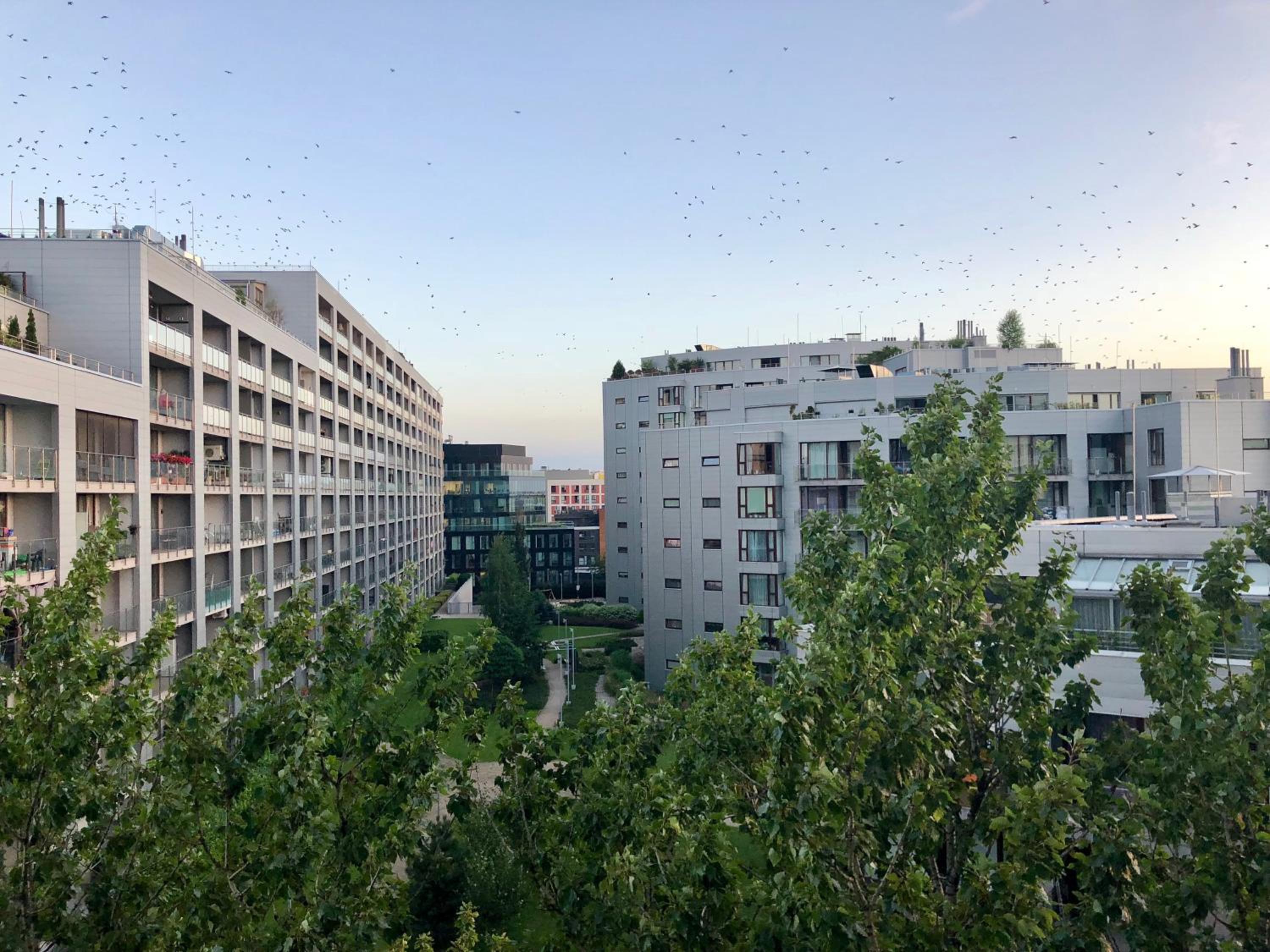Studio Flat Triton Park en Warsaw