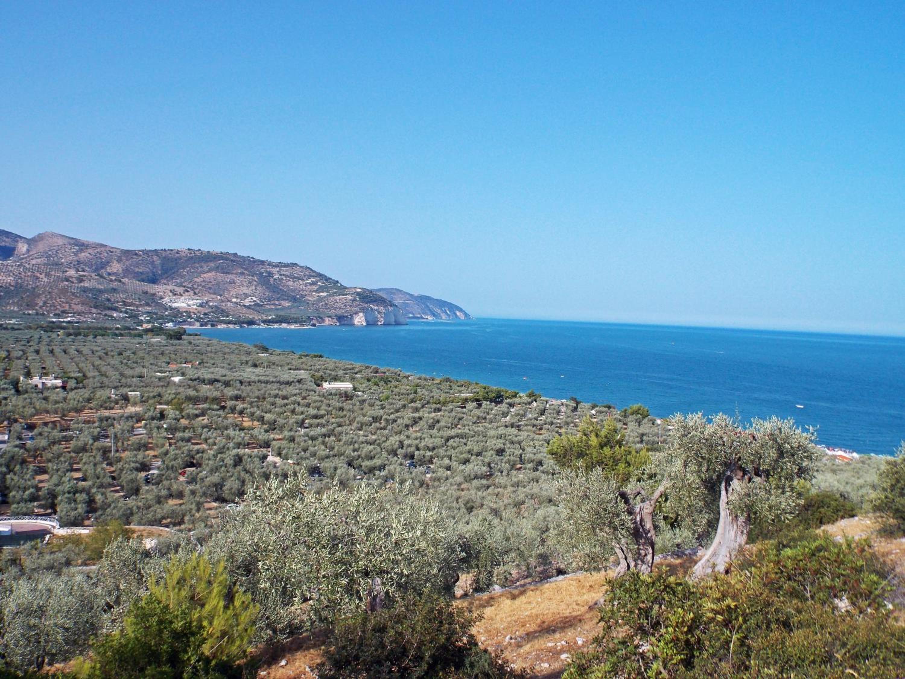 Villa Lucia