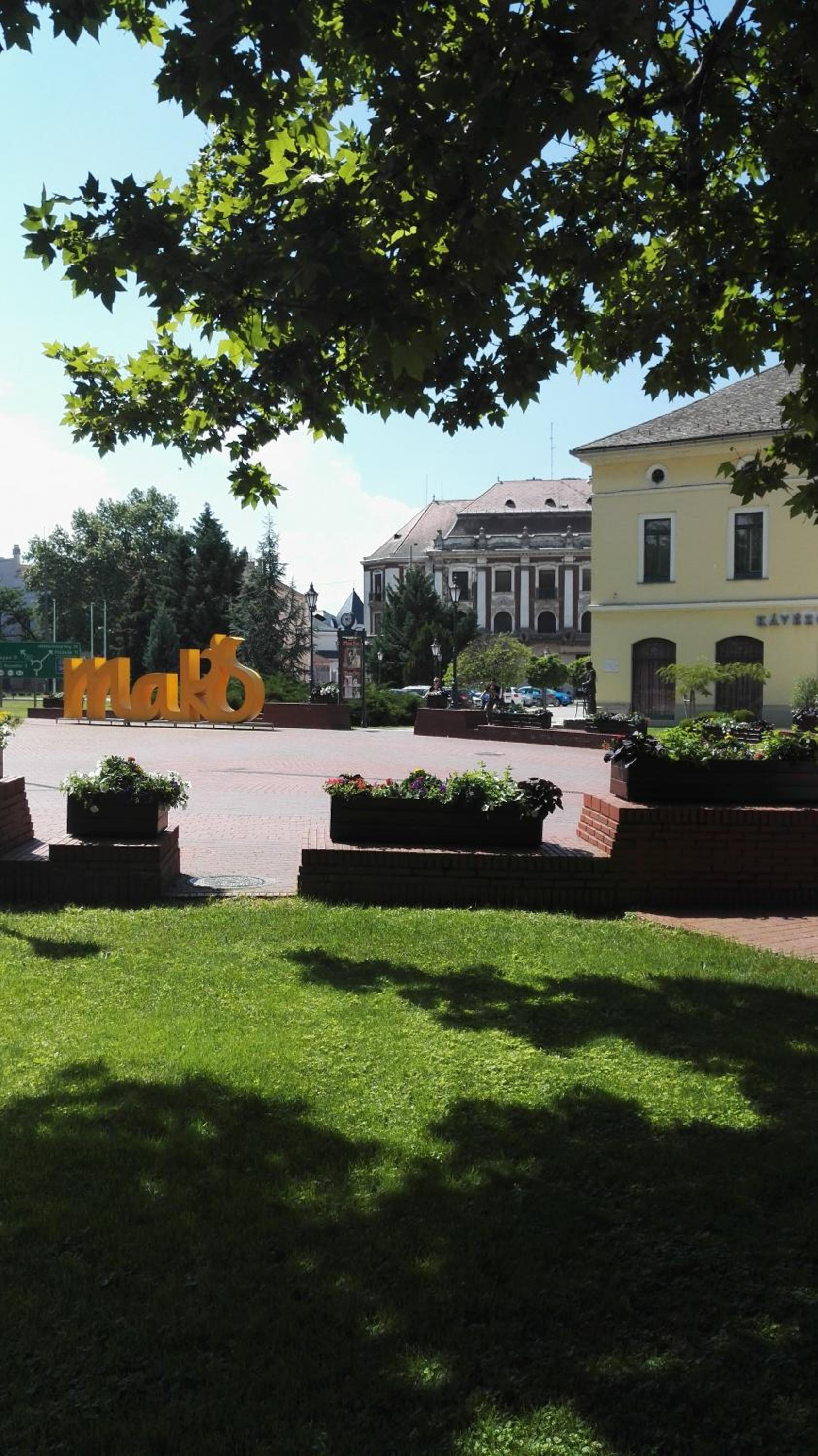 Photo 33