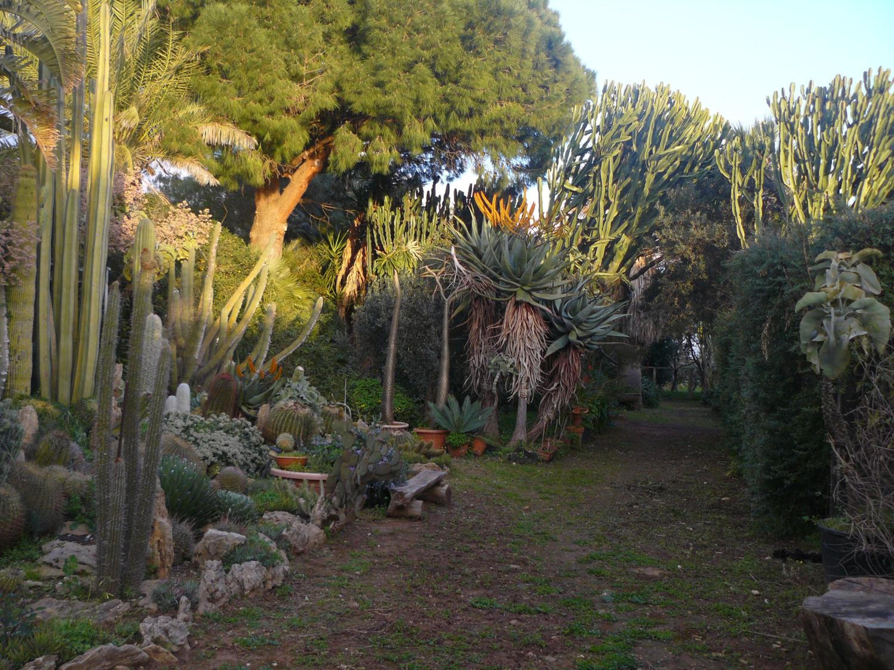 Casa vacanza nella riserva naturale del Belice view 2