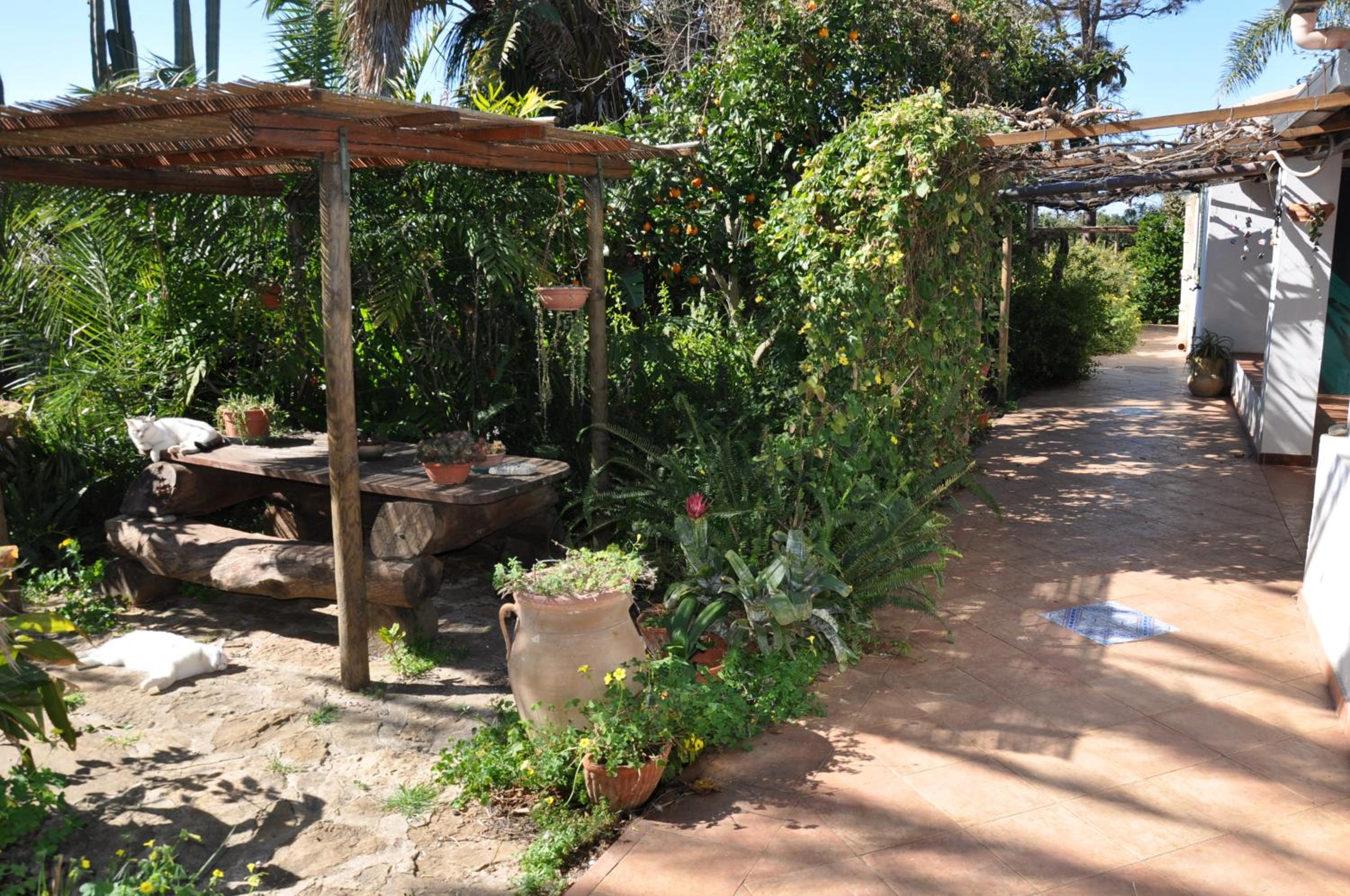 Casa vacanza nella riserva naturale del Belice view 3