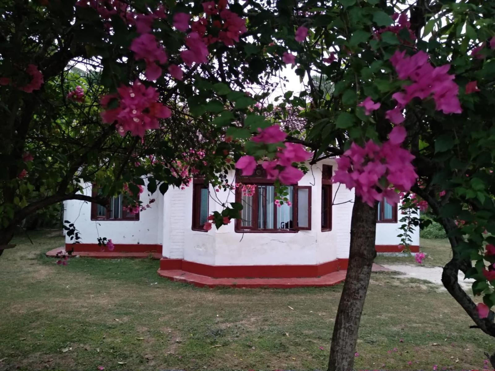 Colonial Surfing Villa Hostel & Home Stay view 4