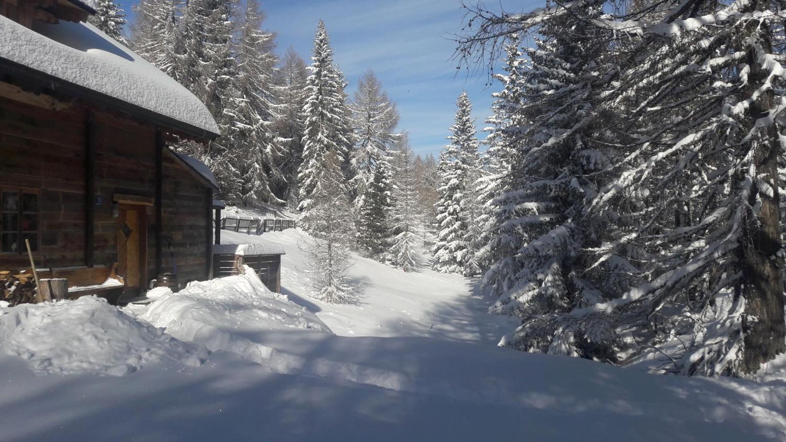 Almhütte Chalet HIRSCHFISCH