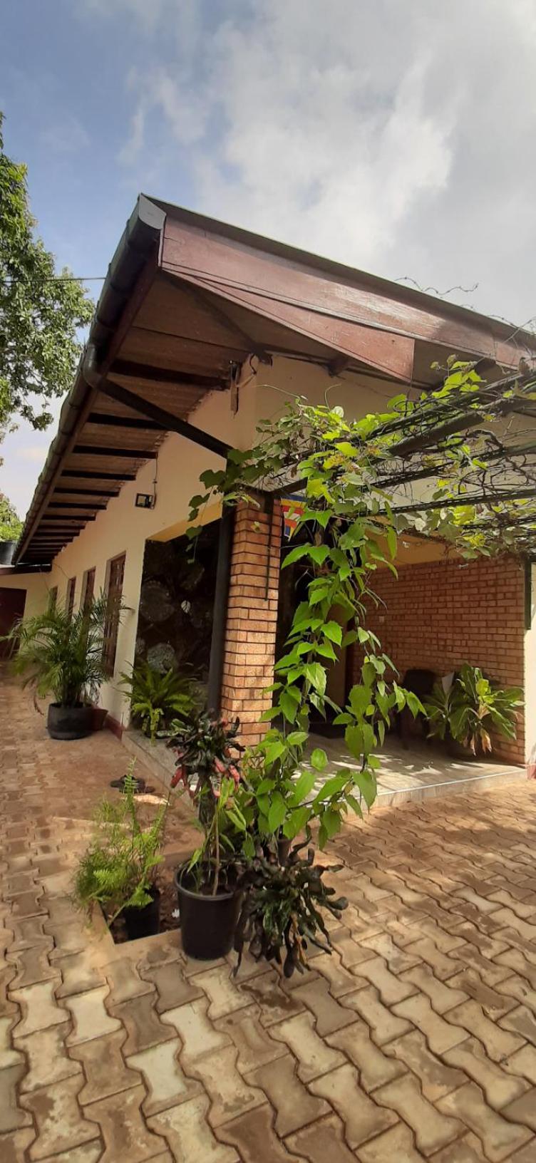 Olivia HomeStay