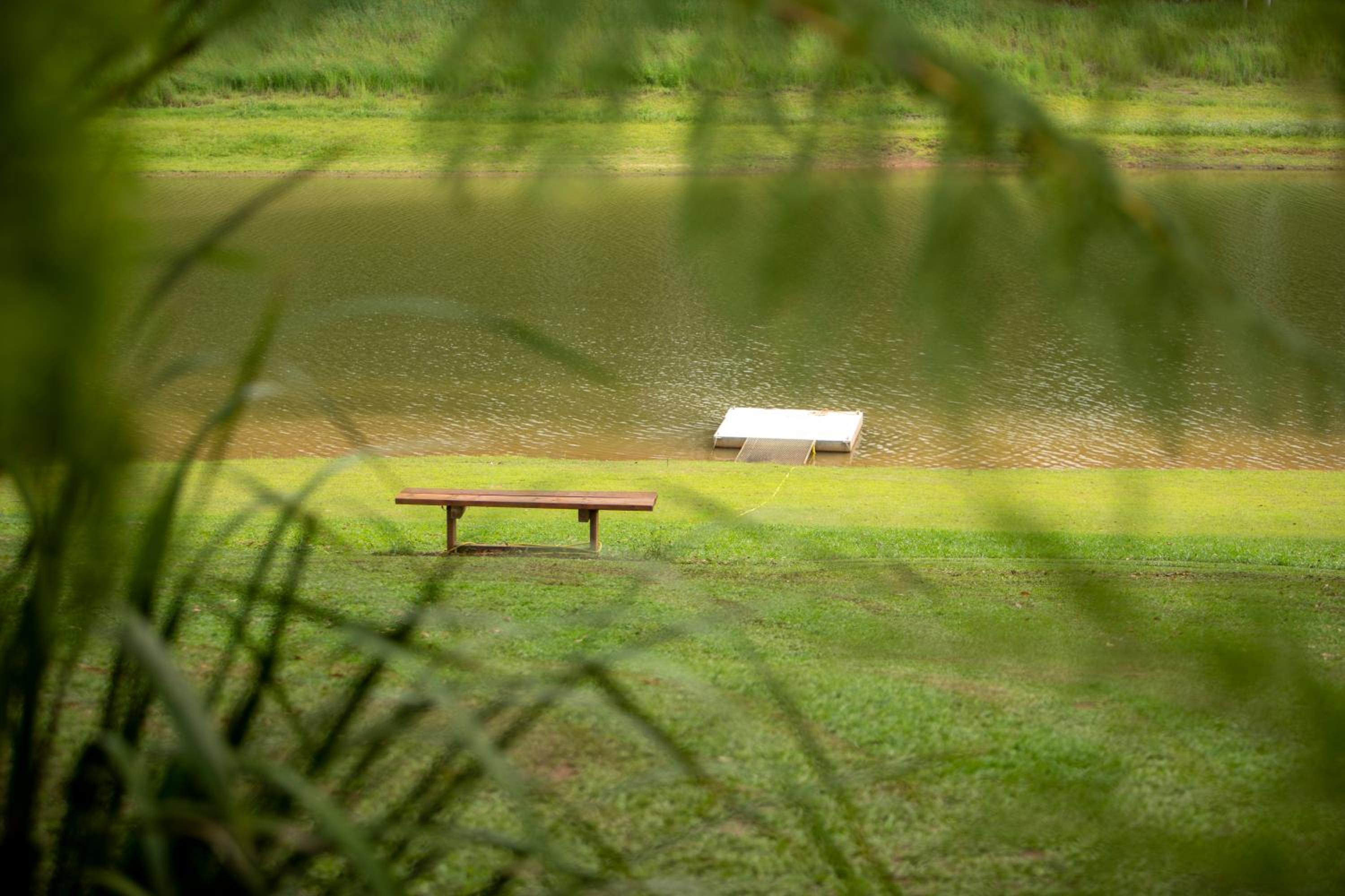 The Lake House