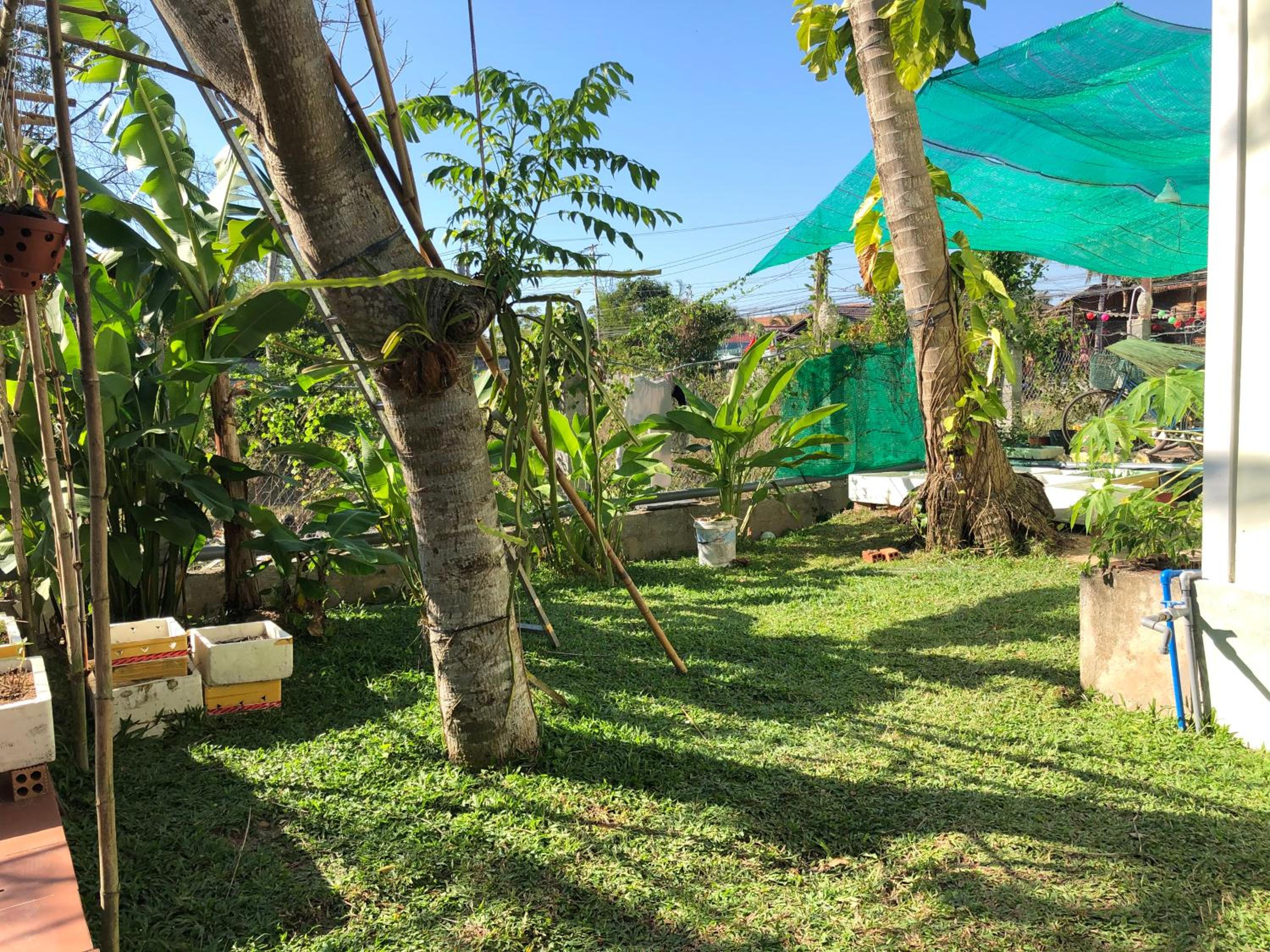 Tropical Garden Phu Quoc