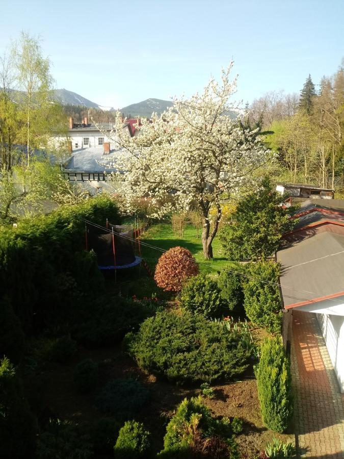 Photo 49