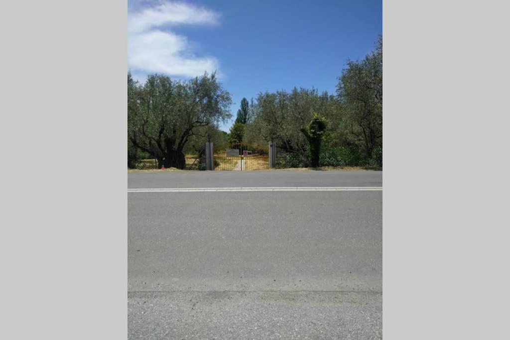 Photo 32