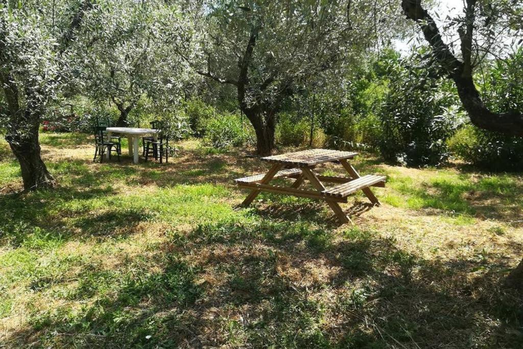 Photo 21