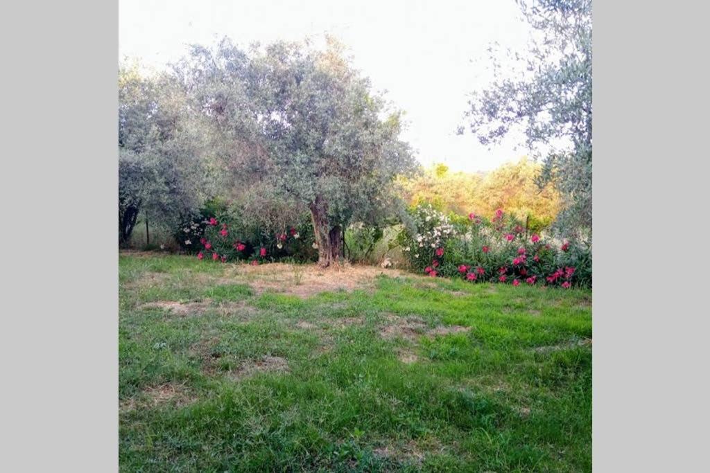 Photo 24