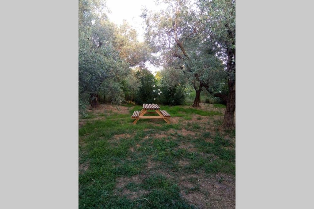 Photo 25
