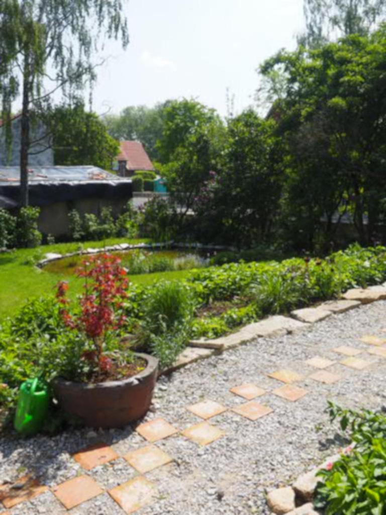 Schöne gemütliche Ferienwohnung mit Kamin II im Harz